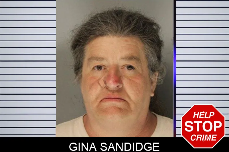 Gina Sandidge Mugshots