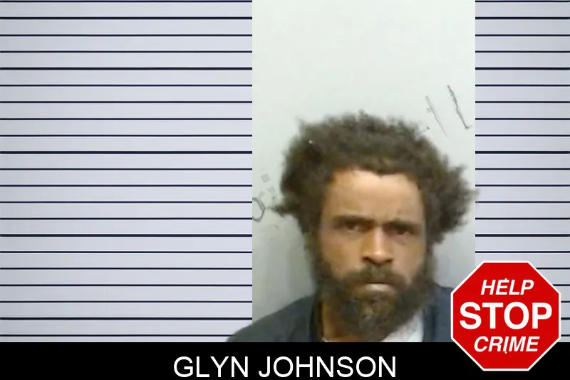 Glyn Johnson mugshot – Fulton County , Georgia Glyn Johnson mugshot