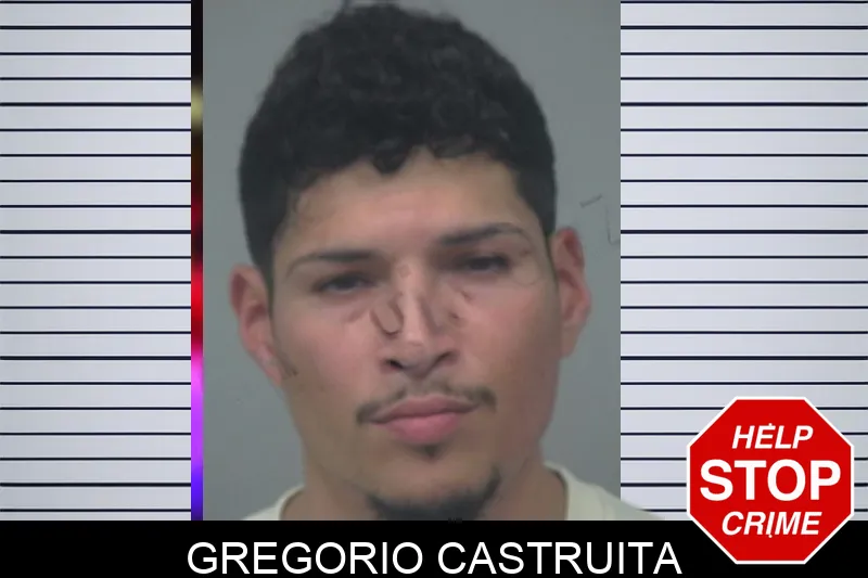 Gregorio Castruita Mugshots