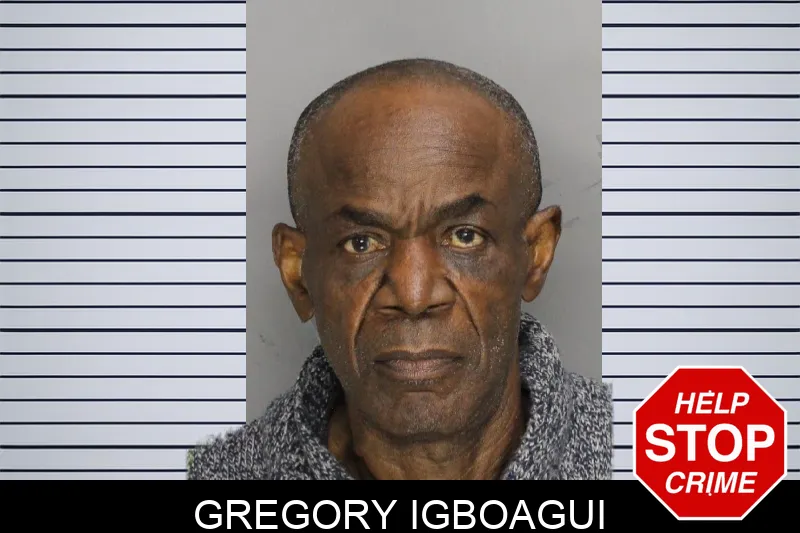 Gregory Igboagui Mugshots