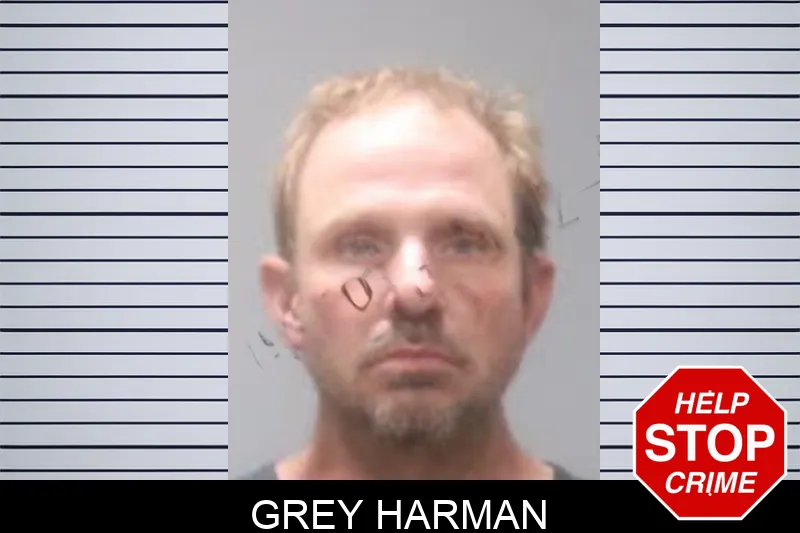 Grey Harman Mugshots