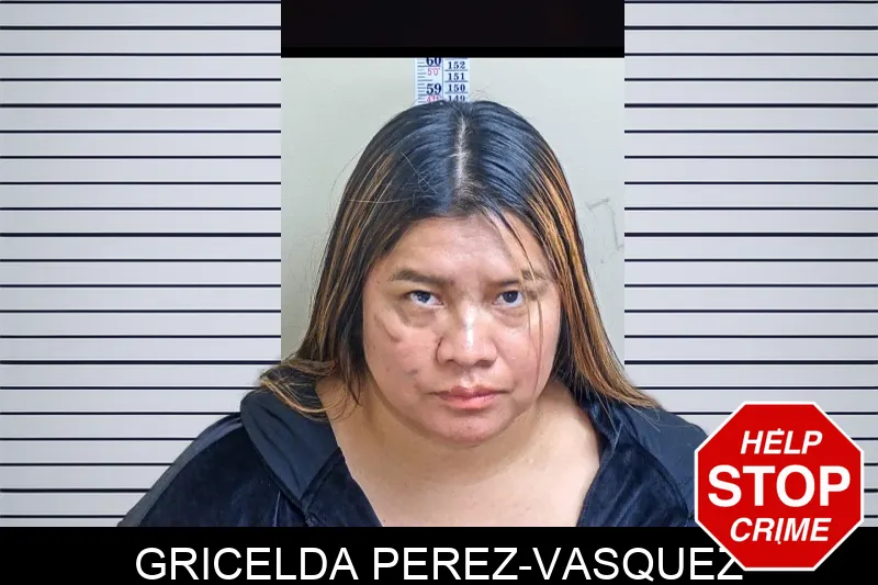 Gricelda Perez-Vasquez mugshot – Gwinnett County , Georgia Gricelda Perez-Vasquez mugshot
