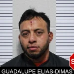Guadalupe Elias-Dimas Mugshots