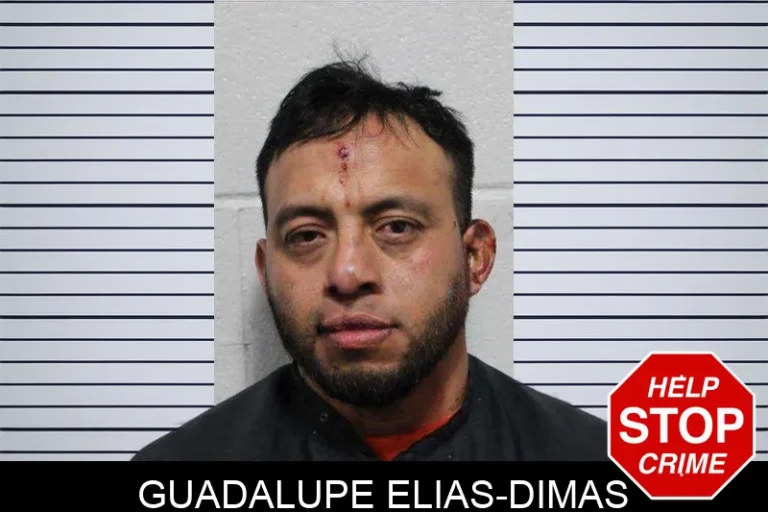 Guadalupe Elias-Dimas