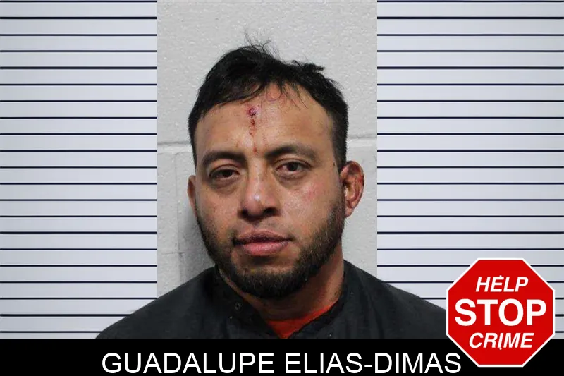 Guadalupe Elias-Dimas Mugshots