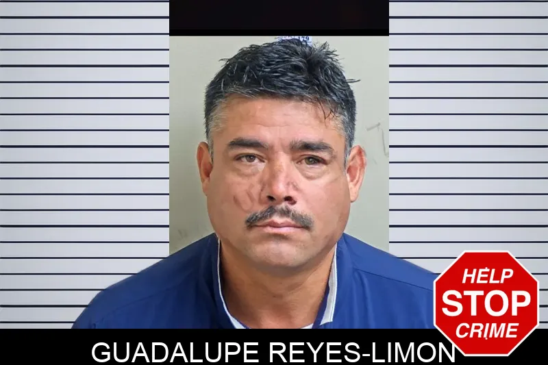 Guadalupe Reyes-Limon mugshot
