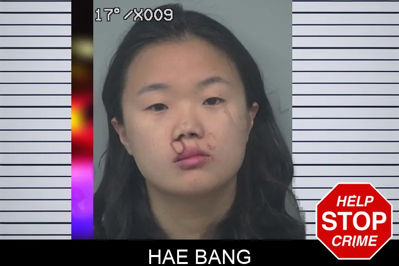 Hae Bang mugshot