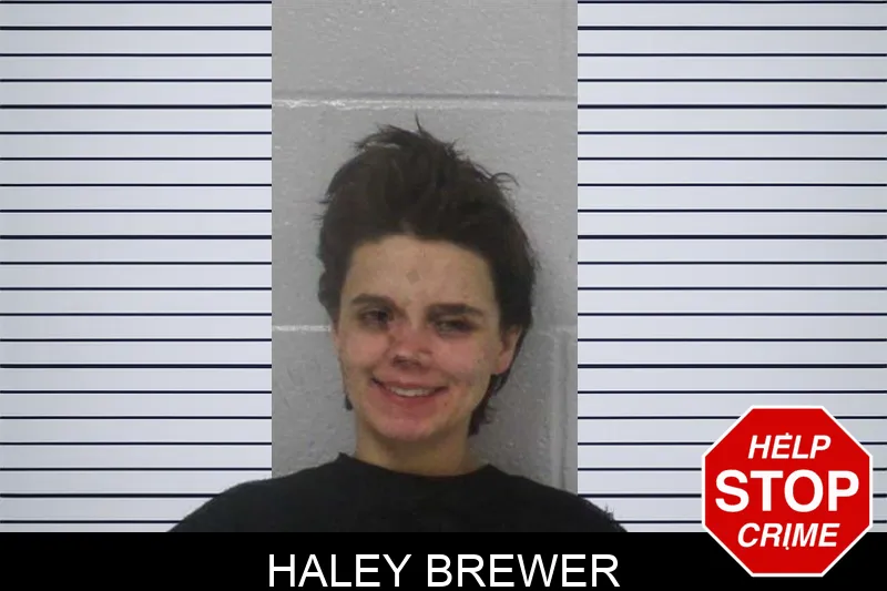 Haley Brewer Mugshots