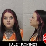Haley Romines Mugshots