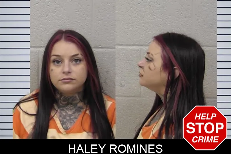 Haley Romines Mugshots
