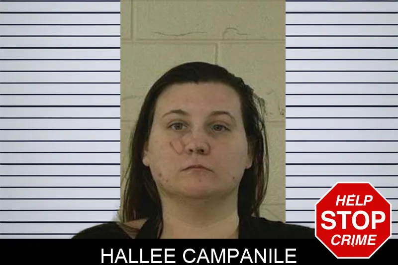 Hallee Campanile Mugshots