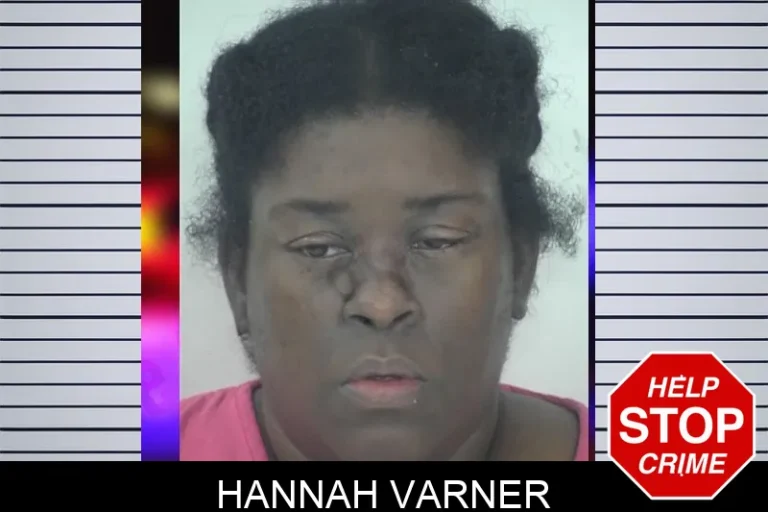 Hannah Varner mugshot – Fayette County , Georgia Hannah Varner