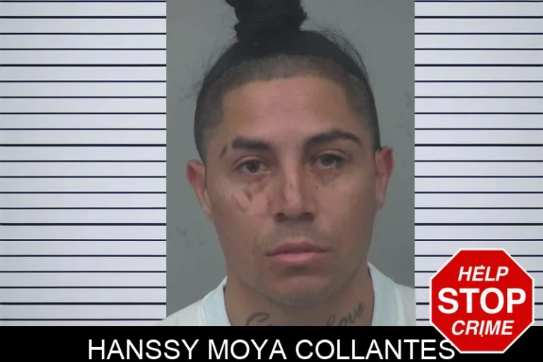 Hanssy Moya Collantes