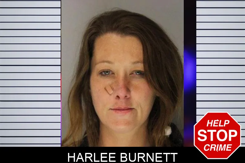 Harlee Burnett Mugshots