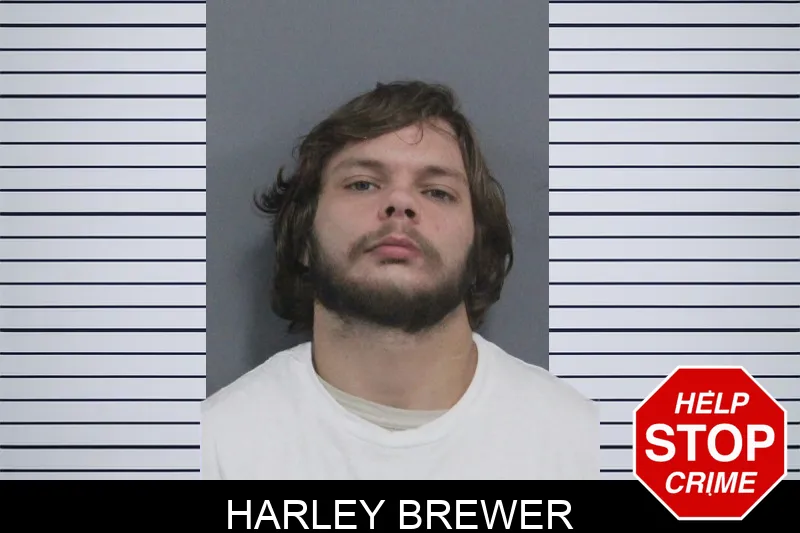 Harley Brewer Mugshots