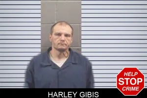 Harley Gibis mugshot
