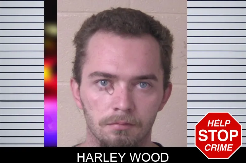 Harley Wood Mugshots