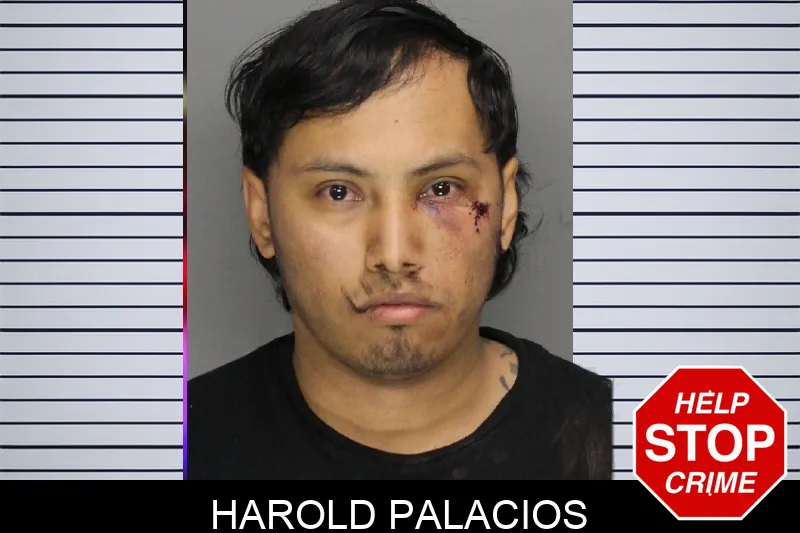Harold Palacios Mugshots