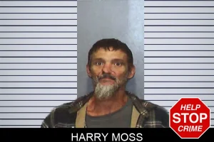 Harry Moss mugshot