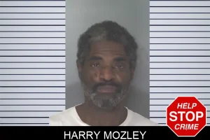 Harry Mozley mugshot
