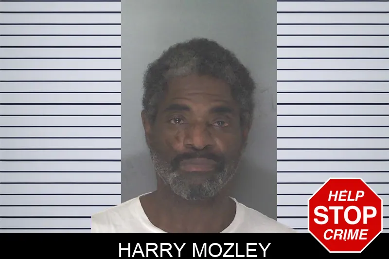 Harry Mozley Mugshots