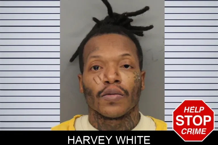 Harvey White mugshot – Cobb County , Georgia Harvey White