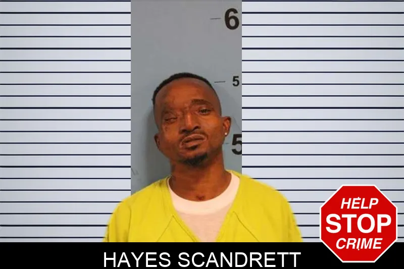 Hayes Scandrett Mugshots