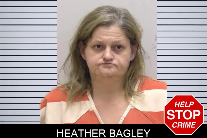 Heather Bagley Mugshots