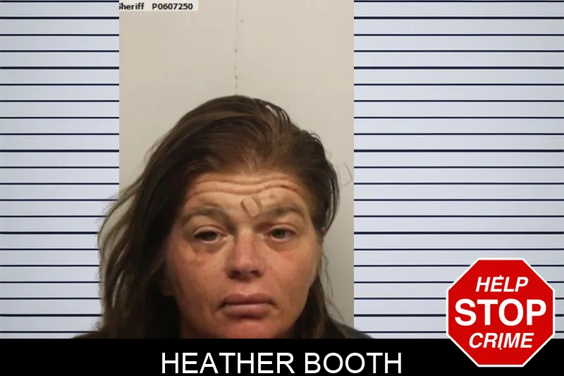 Heather Booth mugshot – Chatham County , Georgia Heather Booth mugshot