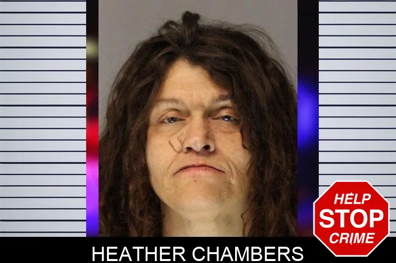 Heather Chambers Mugshots