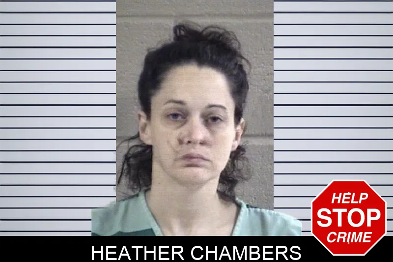 Heather Chambers Mugshots