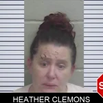 Heather Clemons Mugshots