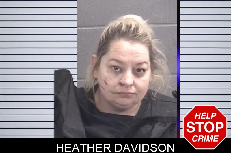 Heather Davidson Mugshots