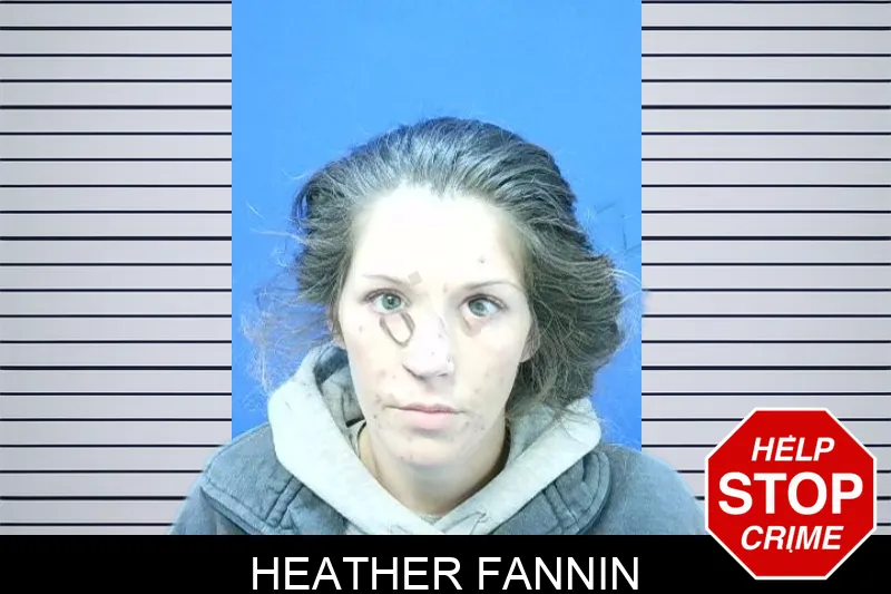 Heather Fannin Mugshots