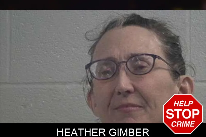 Heather Gimber Mugshots