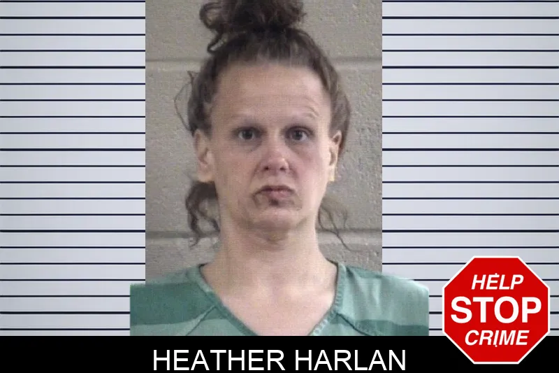 Heather Harlan Mugshots