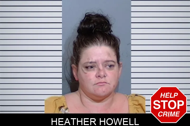 Heather Howell mugshot