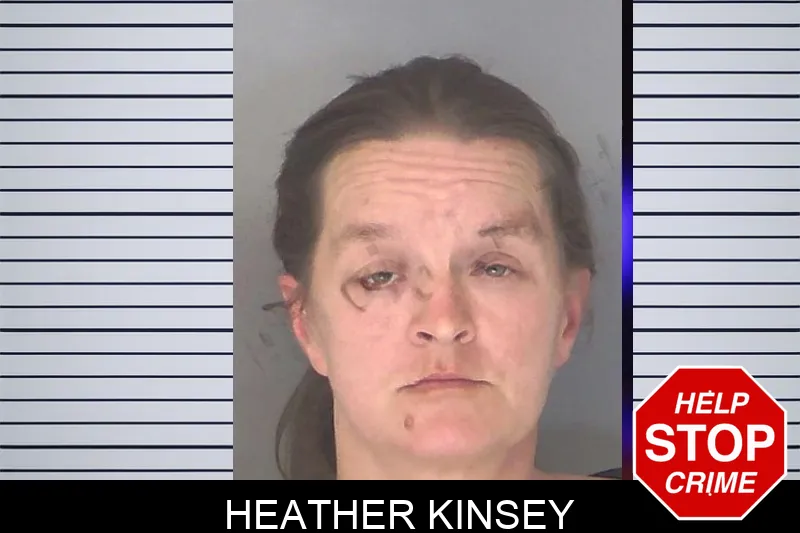 Heather Kinsey Mugshots