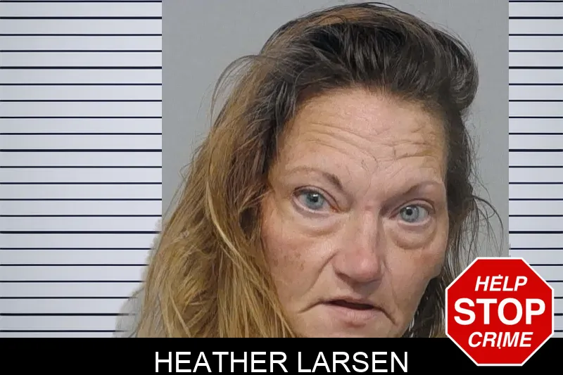 Heather Larsen Mugshots