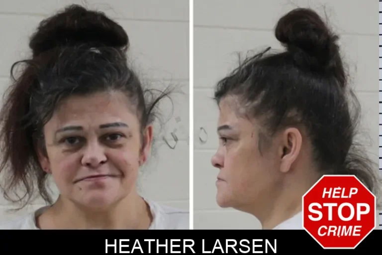 Heather Larsen mugshot – Houston County , Georgia Heather Larsen