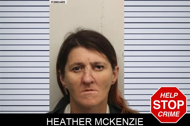 Heather McKenzie Mugshots