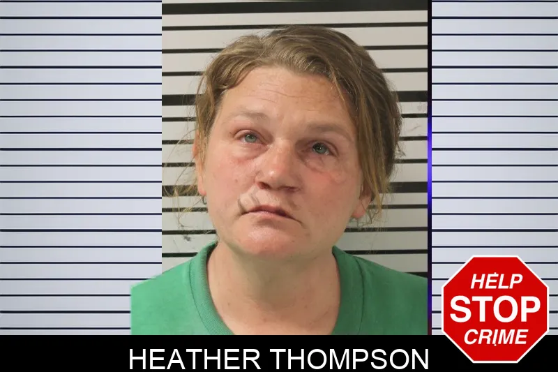 Heather Thompson Mugshots