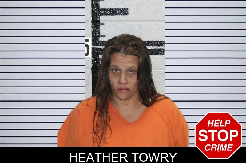 Heather Towry Mugshots