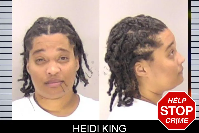 Heidi King Mugshots