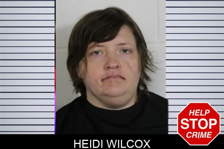Heidi Wilcox mugshot – Floyd County , Georgia Heidi Wilcox