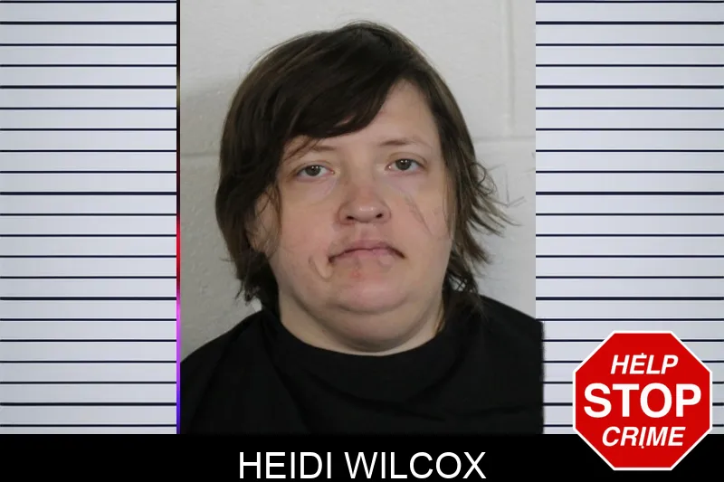 Heidi Wilcox Mugshots