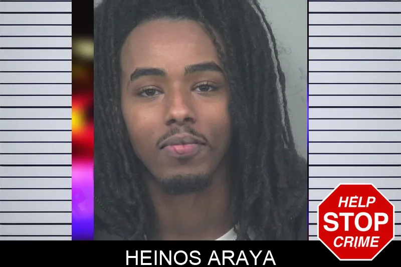 Heinos Araya Mugshots