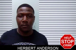 Herbert Anderson mugshot