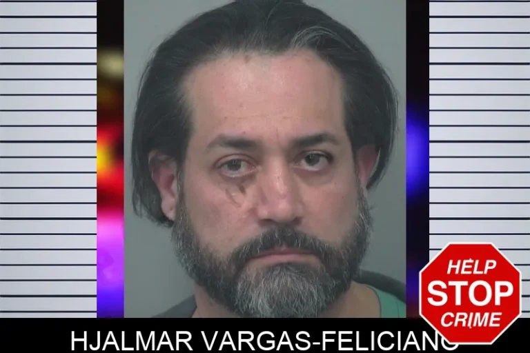 Hjalmar Vargas-Feliciano