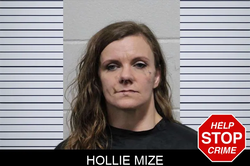 Hollie Mize Mugshots